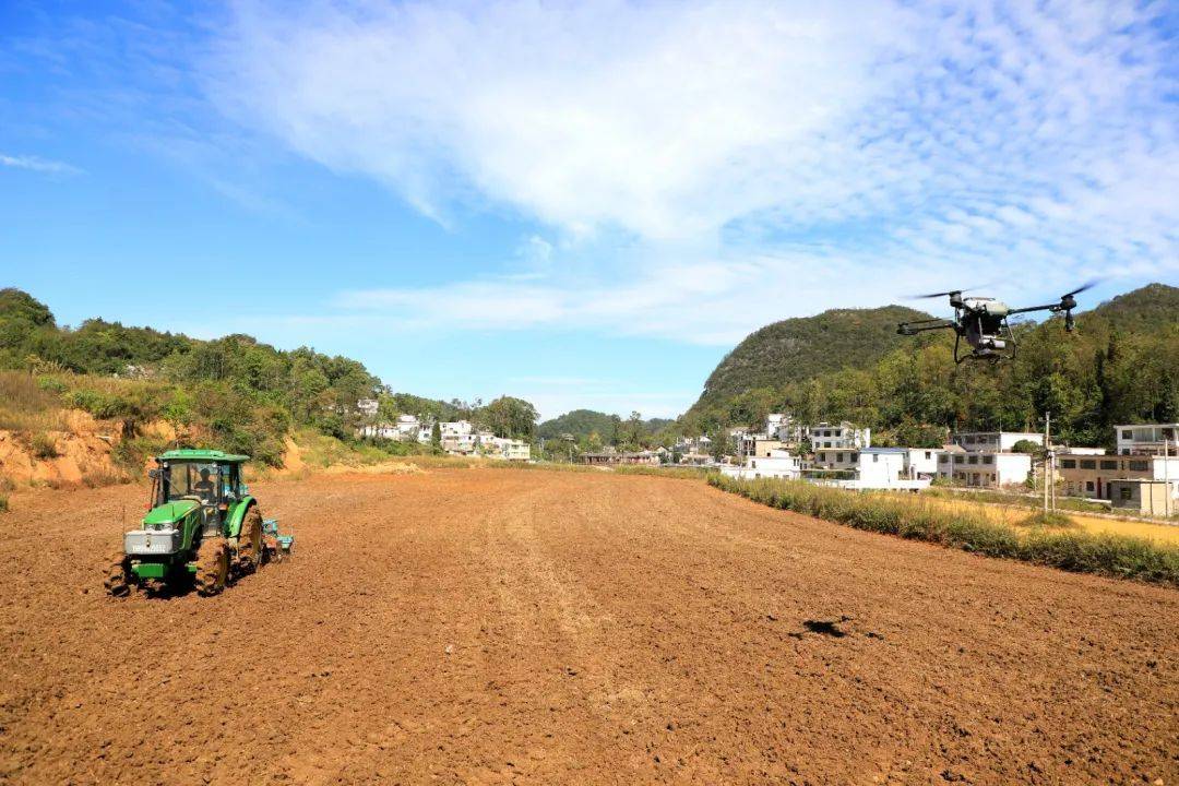 两边开沟油菜田旋耕机图片