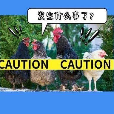 健康科普|叮~请收下这份人感染禽流感防护建议→_禽类_病毒_蛋类