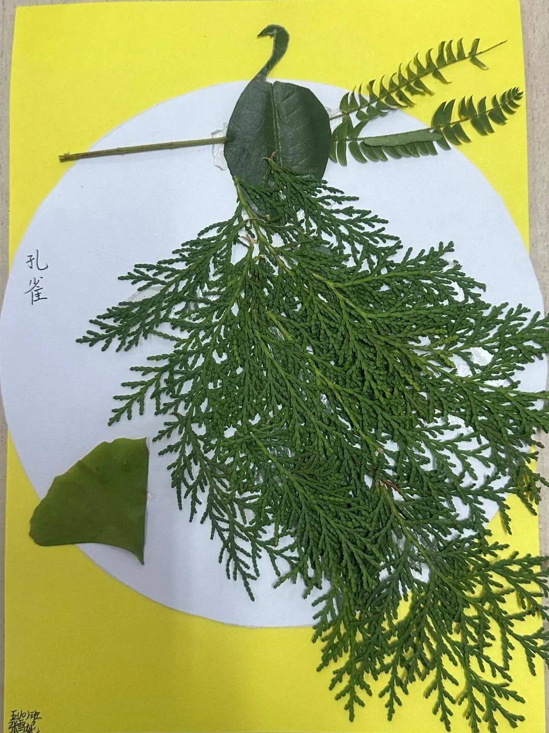 沁阳市第一小学教育集团南校区开展树叶粘贴画活动