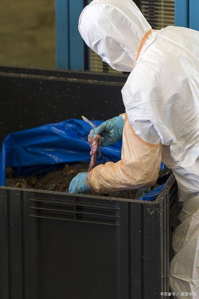 新疆医科大学法医学专业独树一帜,考研之路三专业值得推荐