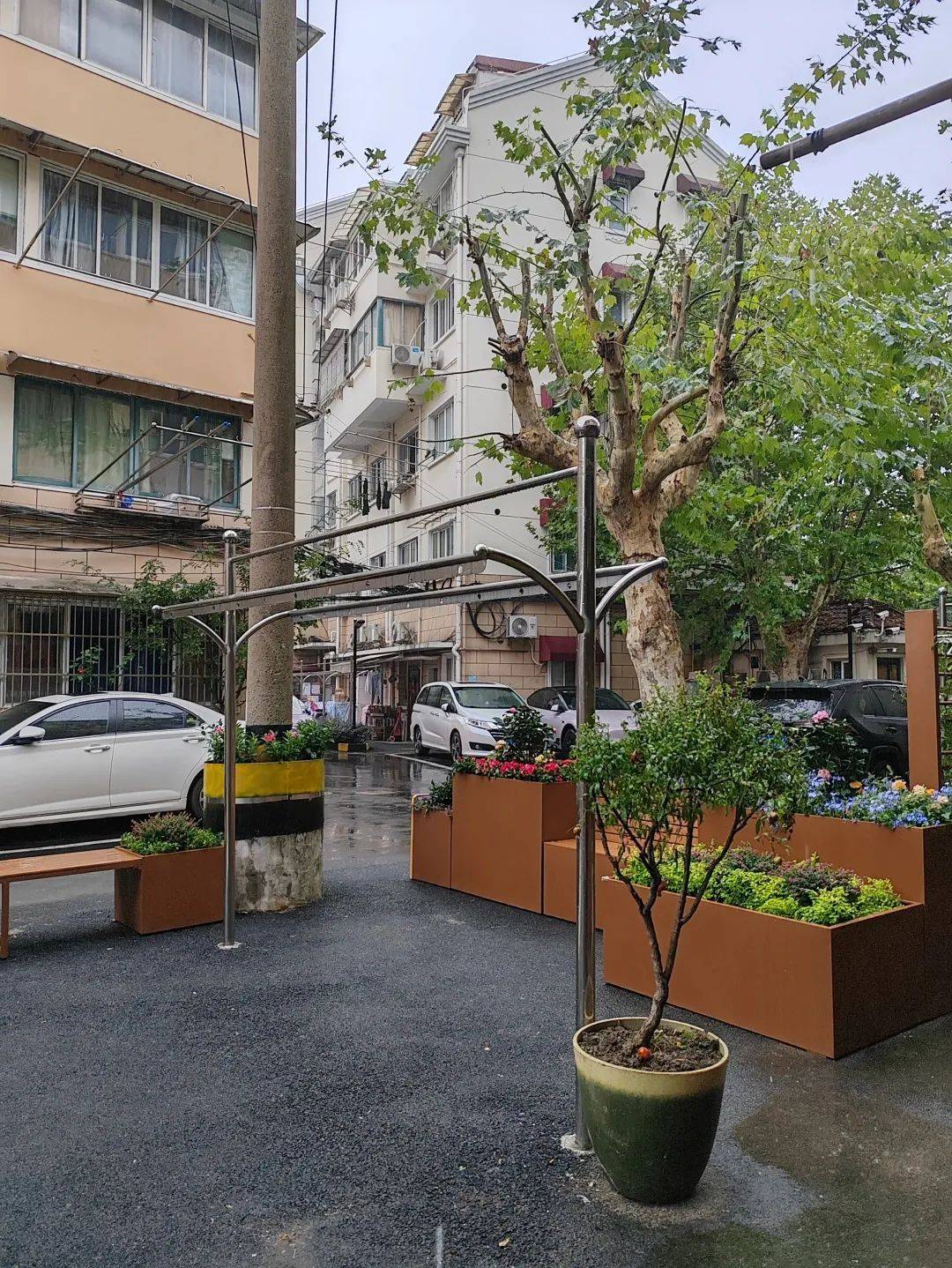 家门口大变样长宁这个居民区建了一座莫奈花园