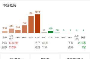 收评：创业板指放量涨4.75% 全市场超5000股上涨