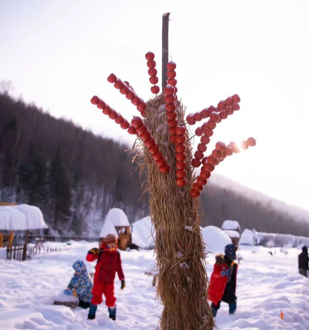 图片[22]-国境极北.漠河，坐上雪国列车一路找北 -华闻时空