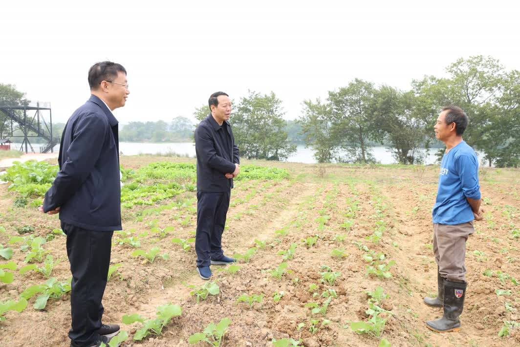 今日永州讯(江华特约记者 王辉)11月4日,江华县委书记段贵建率队深入