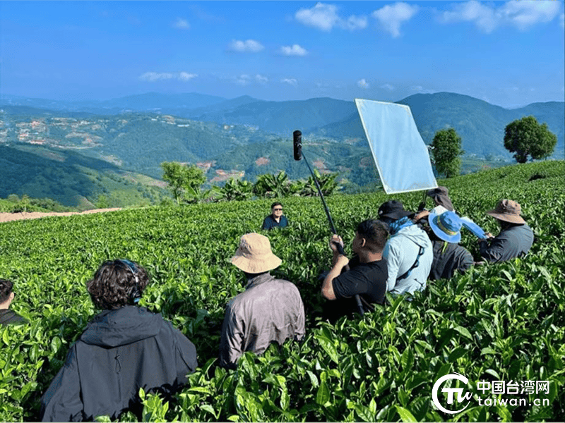 茶城剿匪记剧情介绍图片