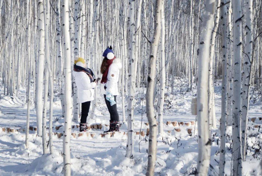 图片[16]-国境极北.漠河，坐上雪国列车一路找北 -华闻时空