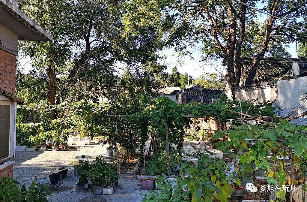 北京胡同 之 汪芝麻胡同