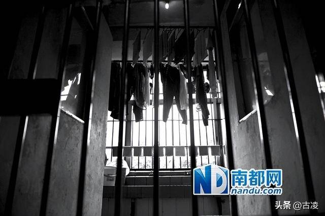 广东"大色虎"罗荫国:包养60多名情妇,被抓后供出100个贪官_茂名_雷挺