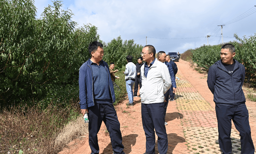 宣威市10月28日,宣威市委副书记,市长许韶发到昆明与云南云天化狗份