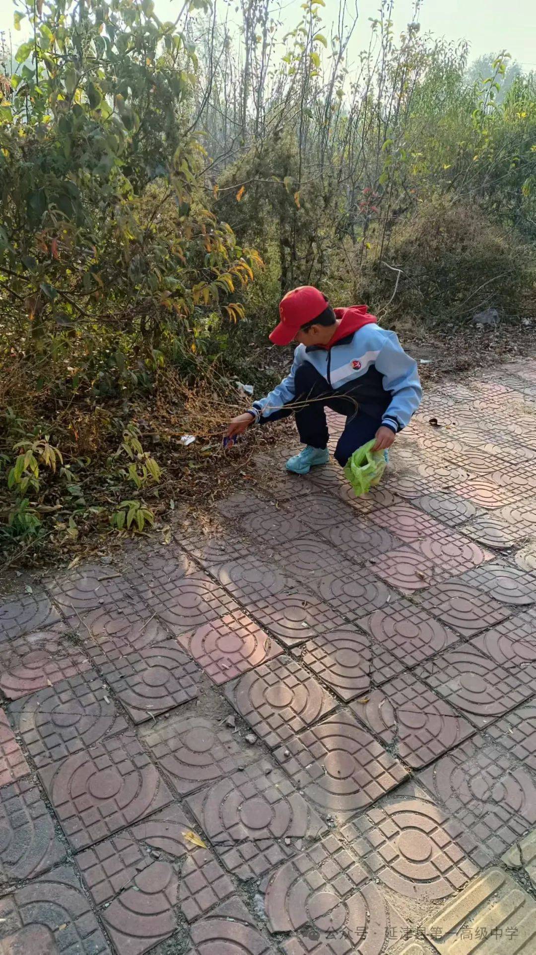 清捡垃圾倡环保 一起弯腰齐行动