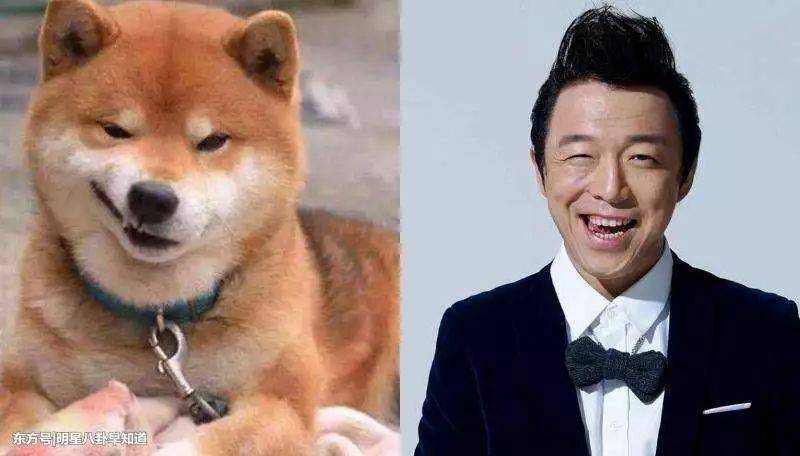 88张惊人相似的照片,太不可思议了!_眼神_美男子_动物