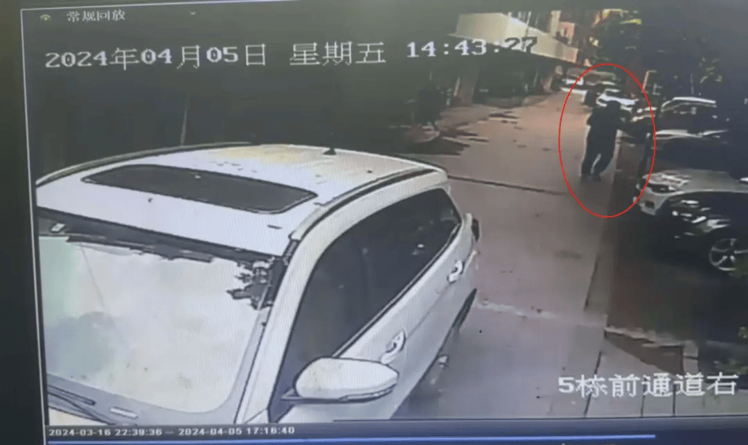 成都5岁女童小区内遭刚起步特斯拉碾压身亡,车主被认定全责未获谅解,一审将再开庭 成都5岁女童小区内遭刚起步特斯拉碾压身亡,车主被认定全责未获谅解,一审将再开庭