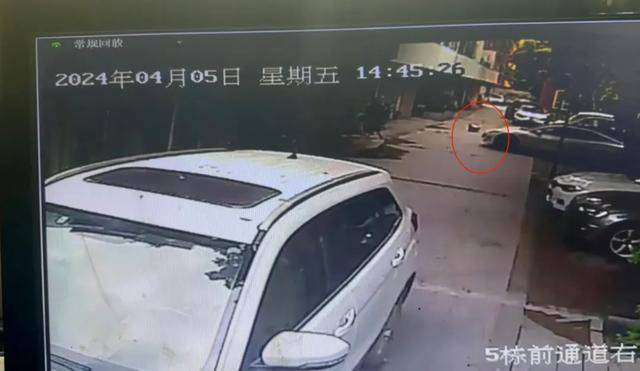 成都5岁女童小区内遭特斯拉碾压身亡，车主被认定全责未获谅解，一审将再开庭