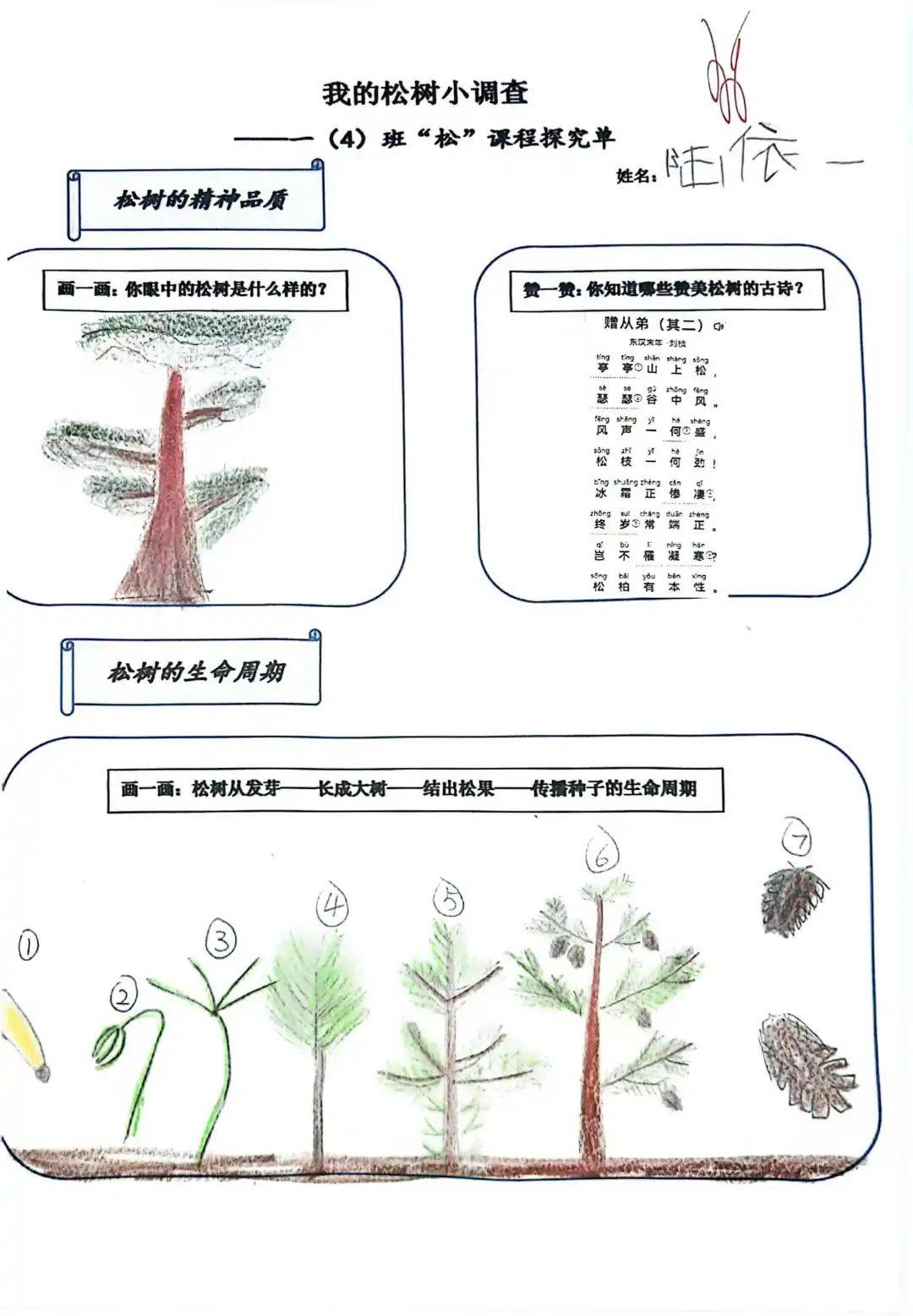 大树和小草主题调查表图片