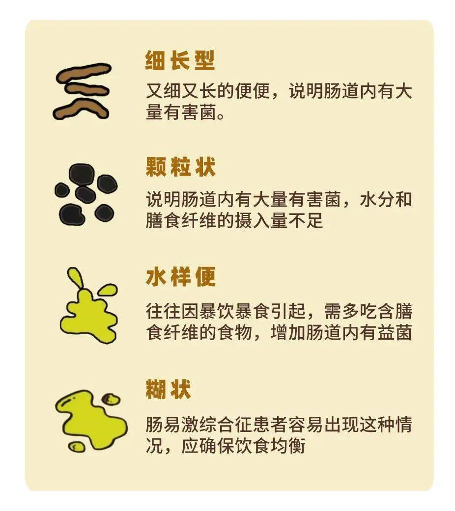 吃多了膳食纤维摄入过少符合上面标准的就是一坨好屎不仅能赚钱还意味