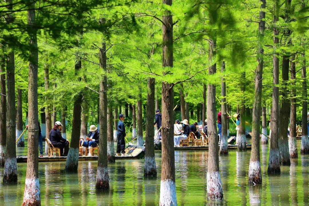 宿迁将建自己的“大湾区”！
