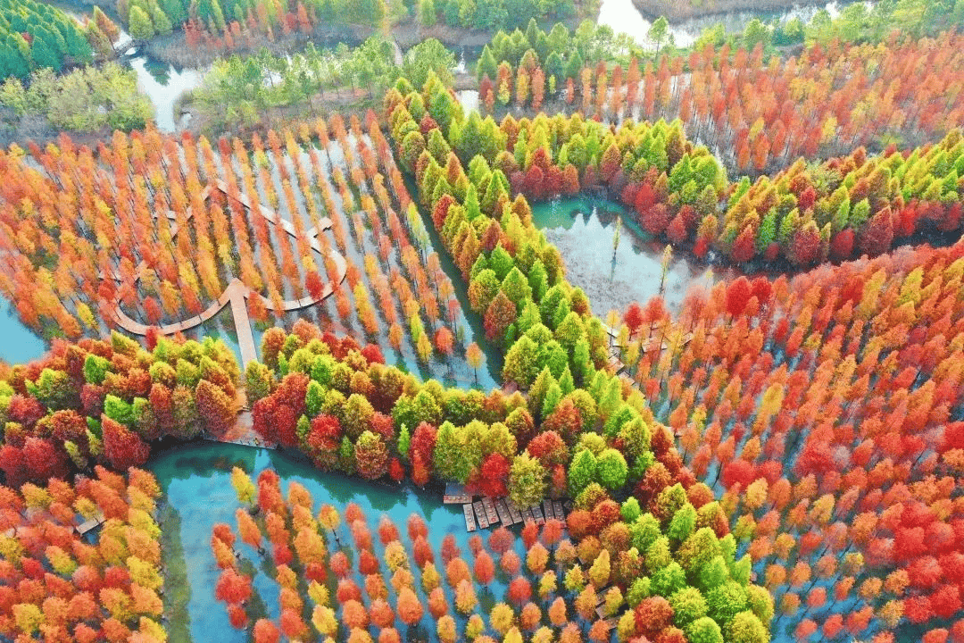 宿迁将建自己的“大湾区”！