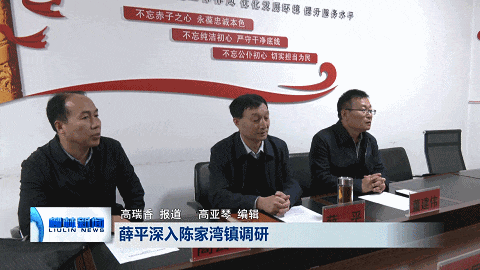 柳林:薛平在陈家湾镇调研_工作_县人大常委会_村民