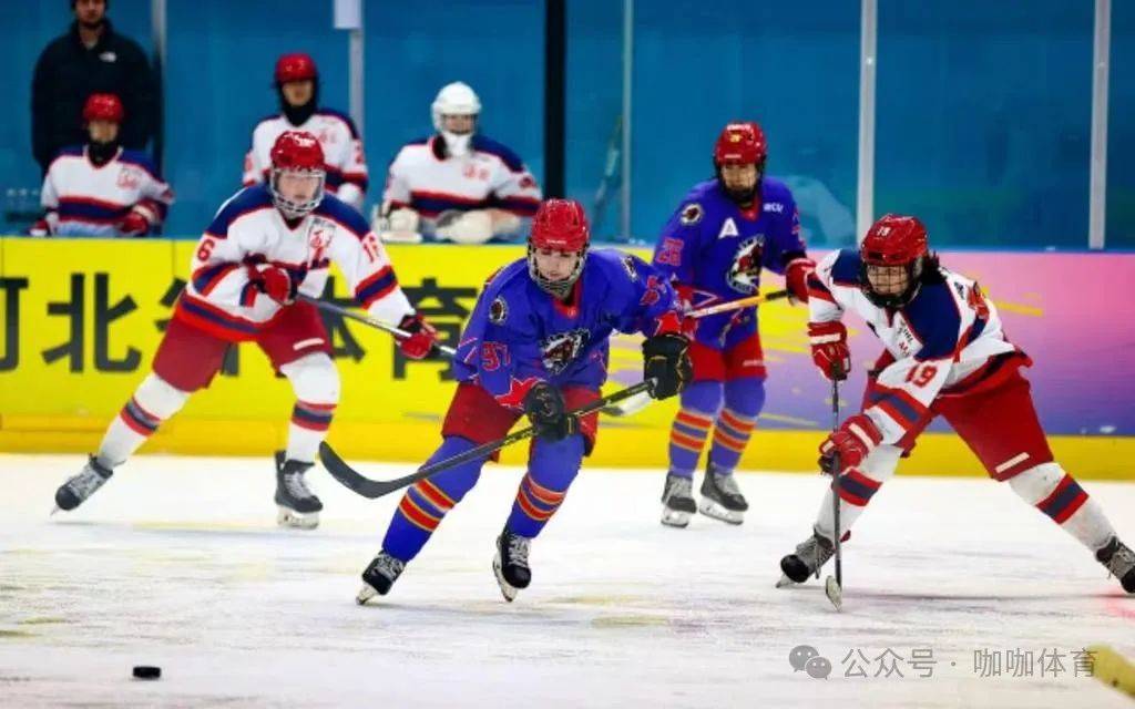 图片来源:中国冰球协会作为国内冰球运动的顶级赛事,2024-2025赛季