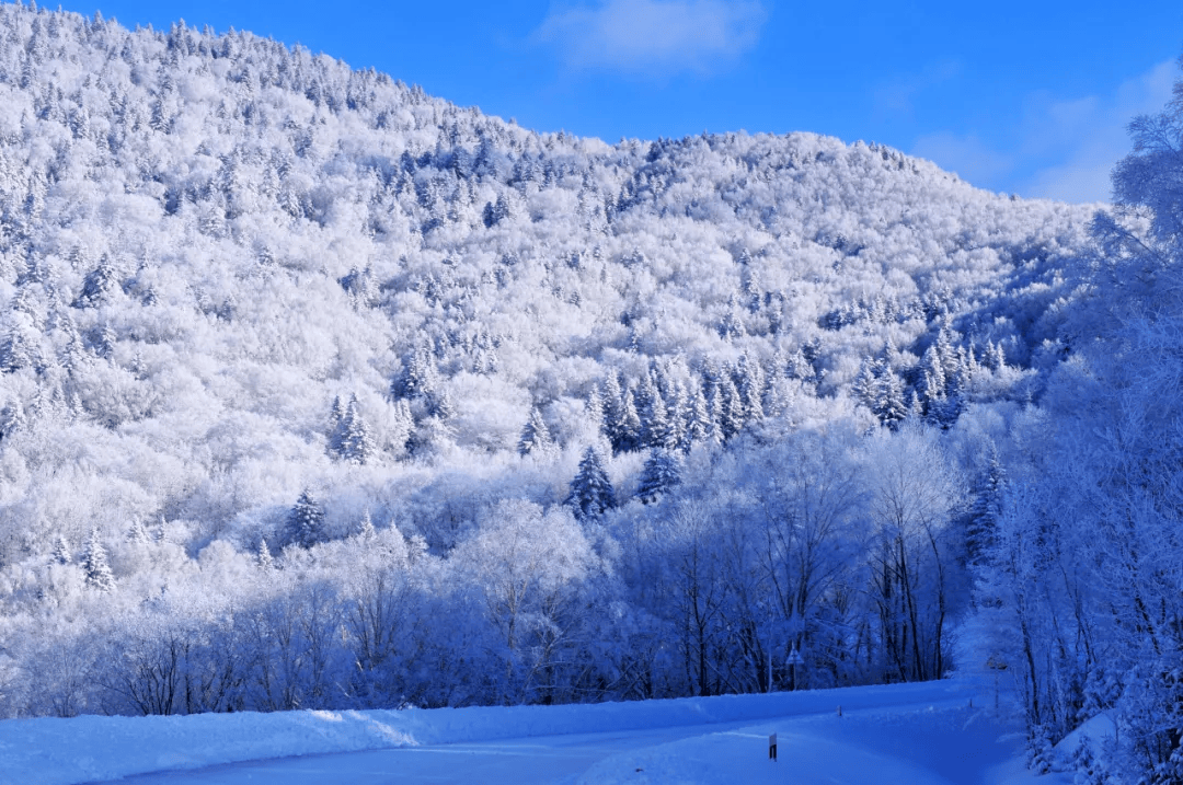 岭头飞雪日图片