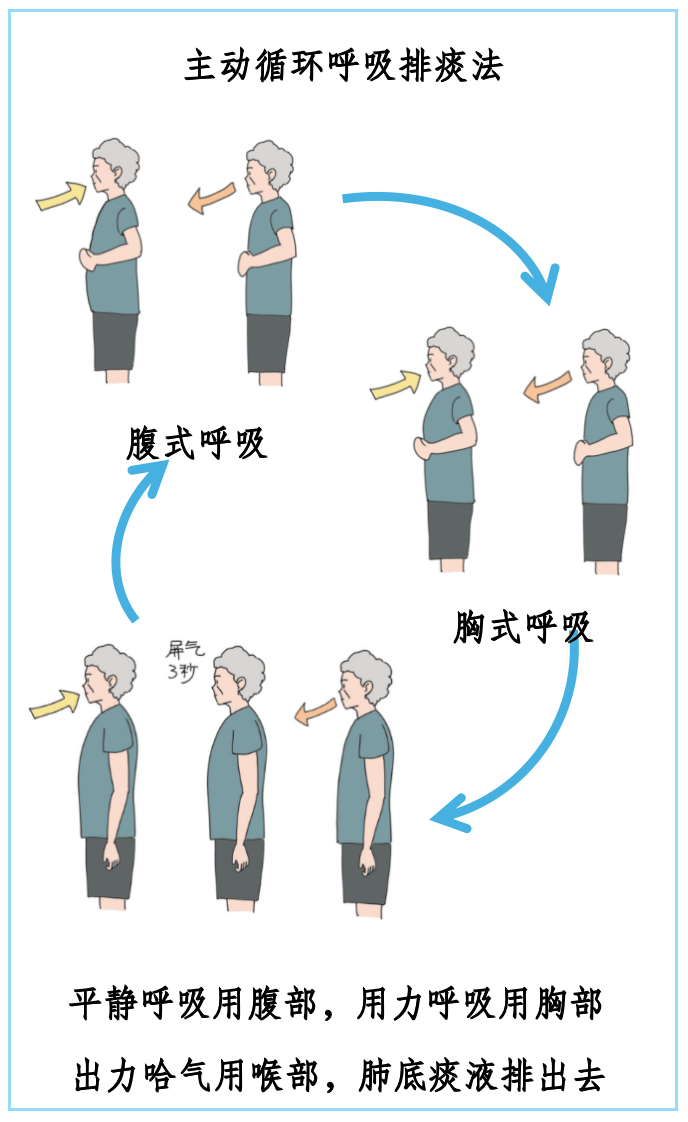 叩背排痰的正确位置图图片