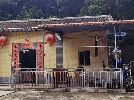 项目建设成果展示⑧ | 微改造,精提升,惠东县高潭镇中洞村的"美丽庭院