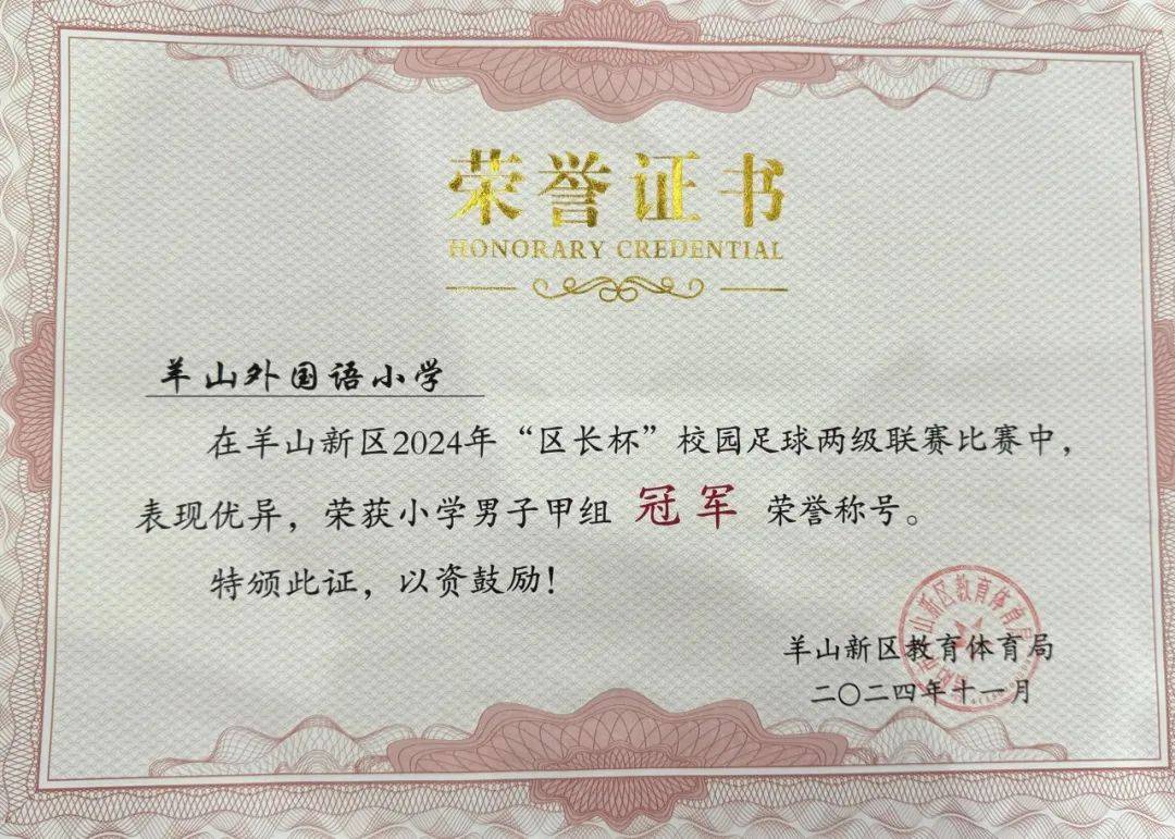 在刚刚落幕的羊山新区2024年"区长杯"校园足球两级联赛中,我校球队以