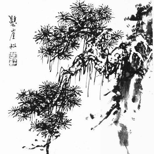 各种松树的画法示范_松针_书画_金雪松