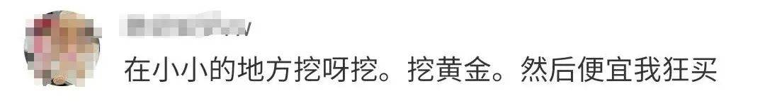 超1000吨！价值6000亿！超40条金矿脉在这里被发现……