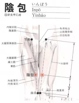 大腿出痧图解图片