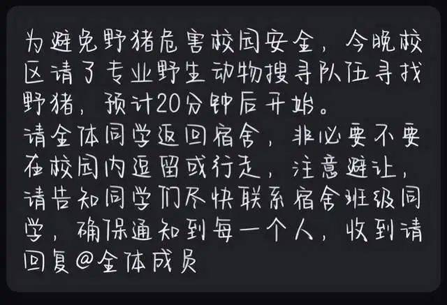 长江大学武汉校区出现野猪，校方回应：已将野猪逼到湖里游走