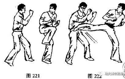 散打:拳法腿法组合实战教学