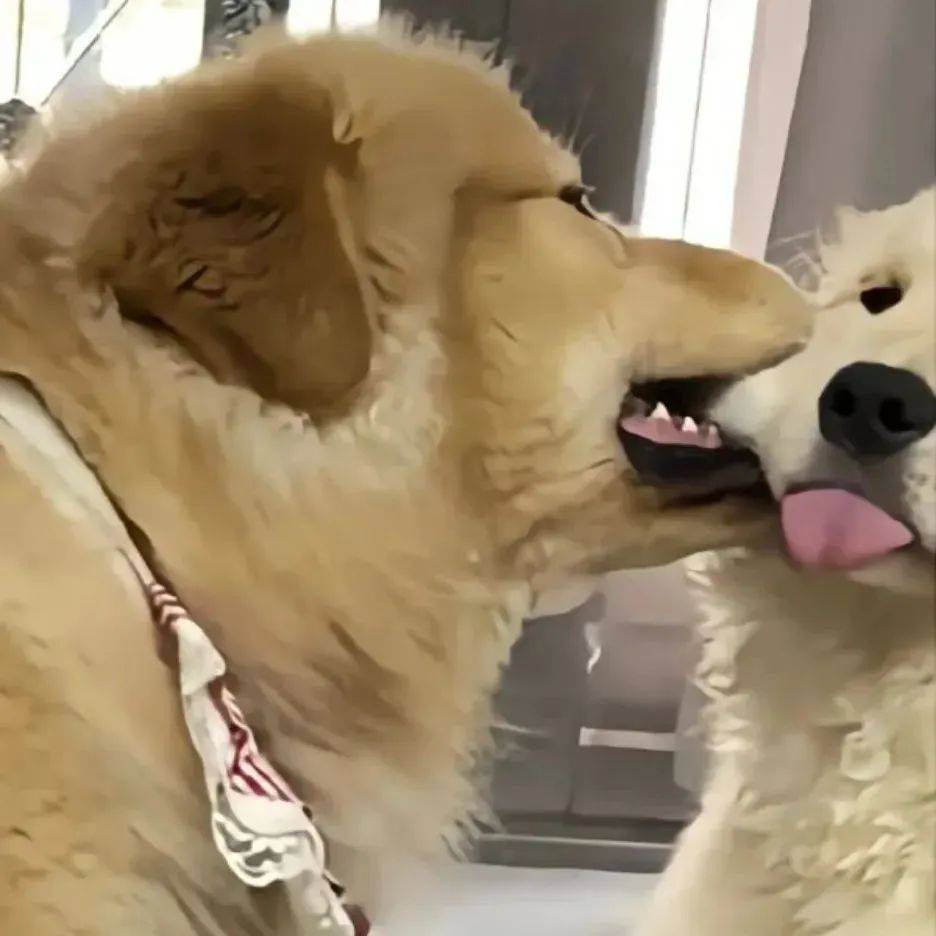 情头丨超级心动的情侣头像