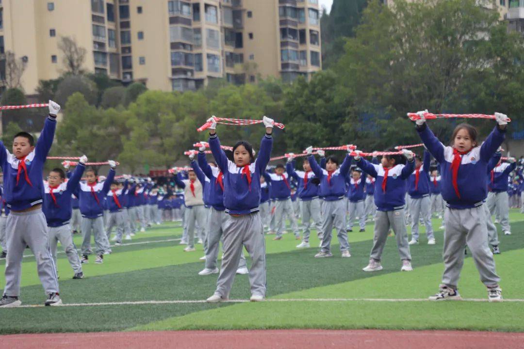 遂宁安居育才中学校图片