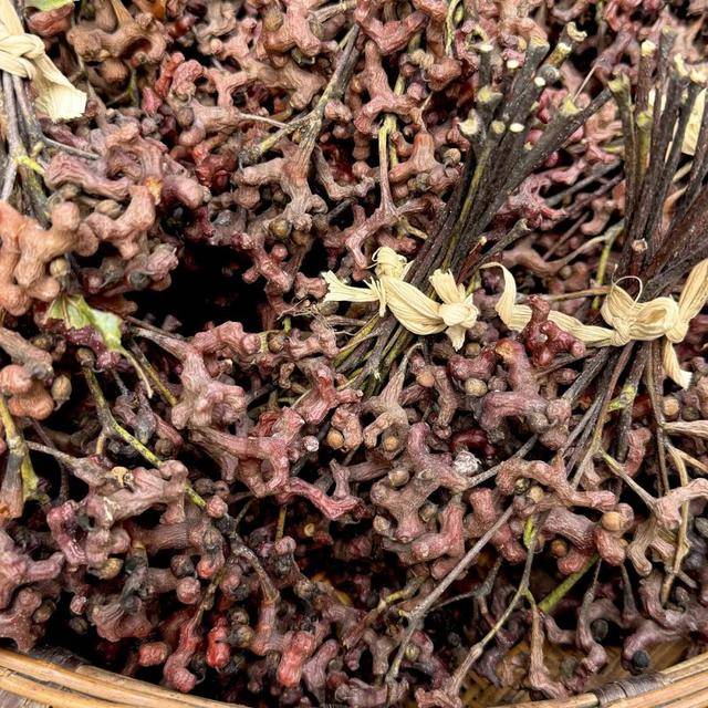 争先恐后地爬树,采摘,分享与三两伙伴约定在树下冬天到,大风起,拐枣落