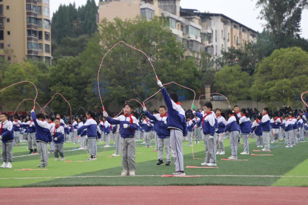 遂宁安居育才中学校图片