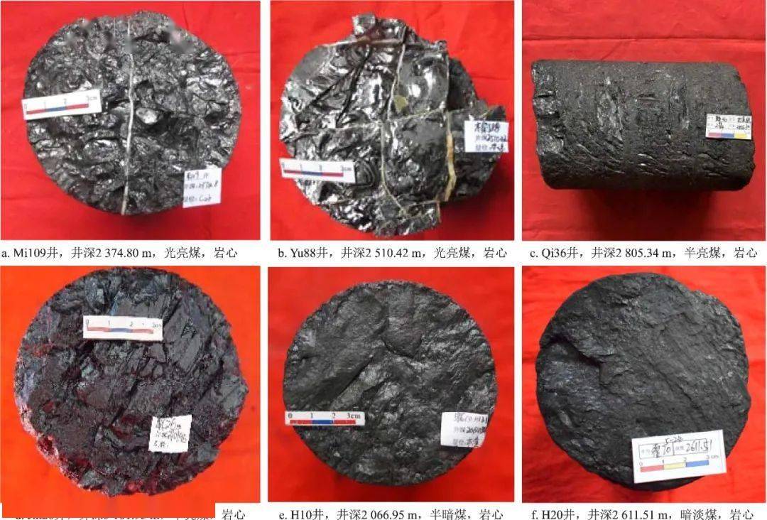 煤岩的煤体结构分为原生结构煤,碎裂煤,碎粒煤和糜棱煤4 种结构