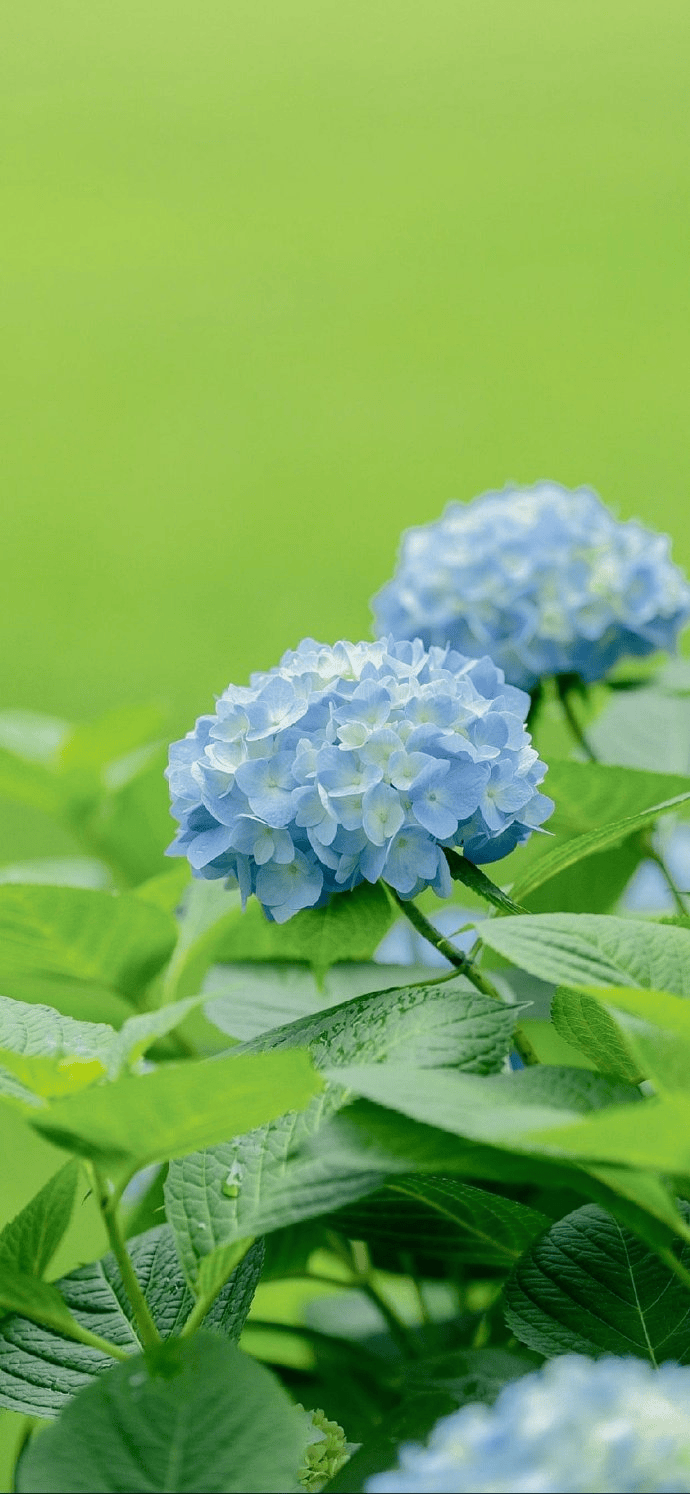 晚安心语文案风景美图:生活有望穿秋水的期待,也会有的意想不到的欣喜
