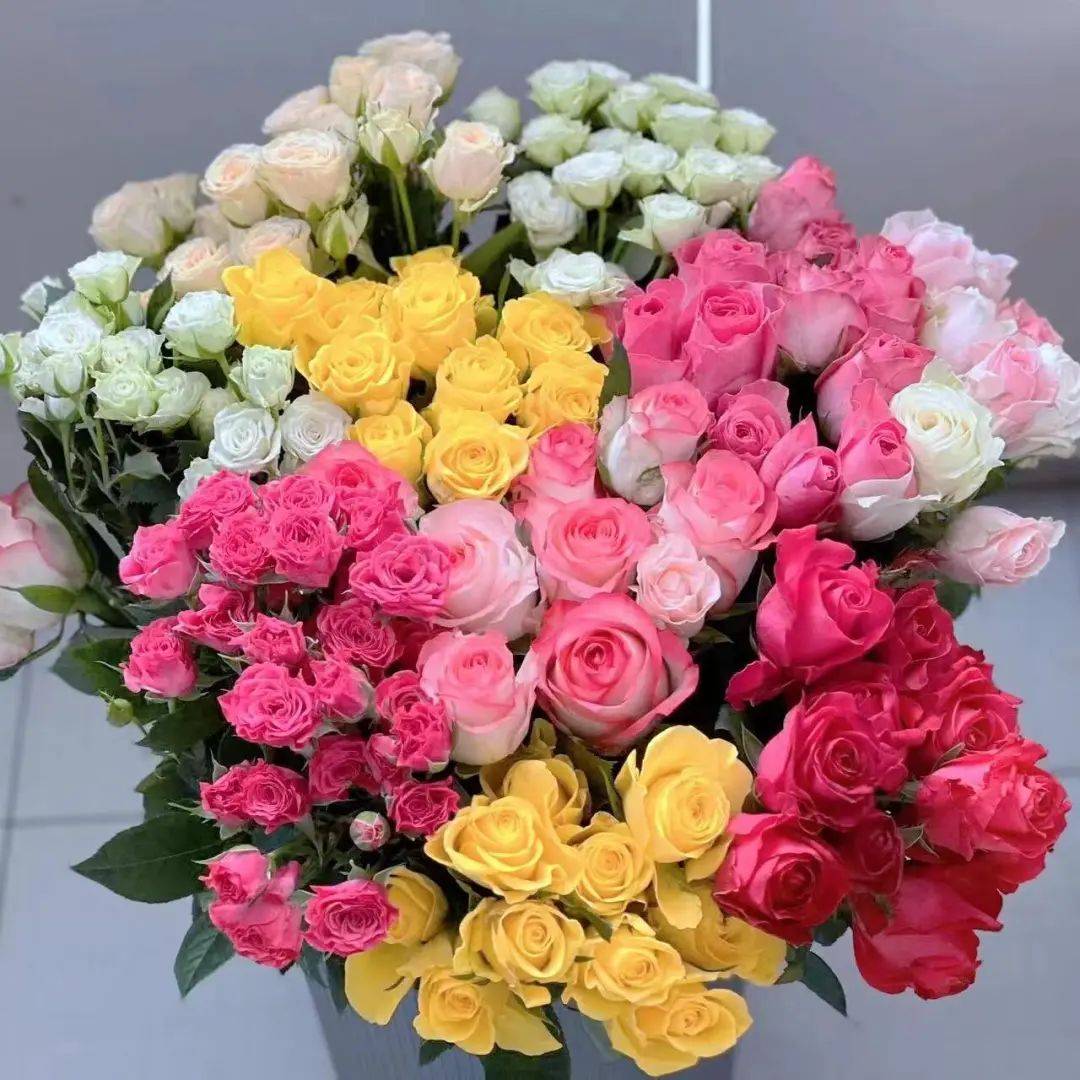 花开东明县——鲜花的芬芳之美