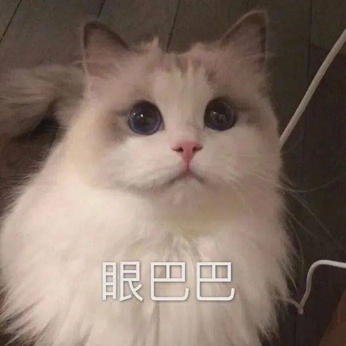 实用表情包:我要对你使用甜蜜的惩罚