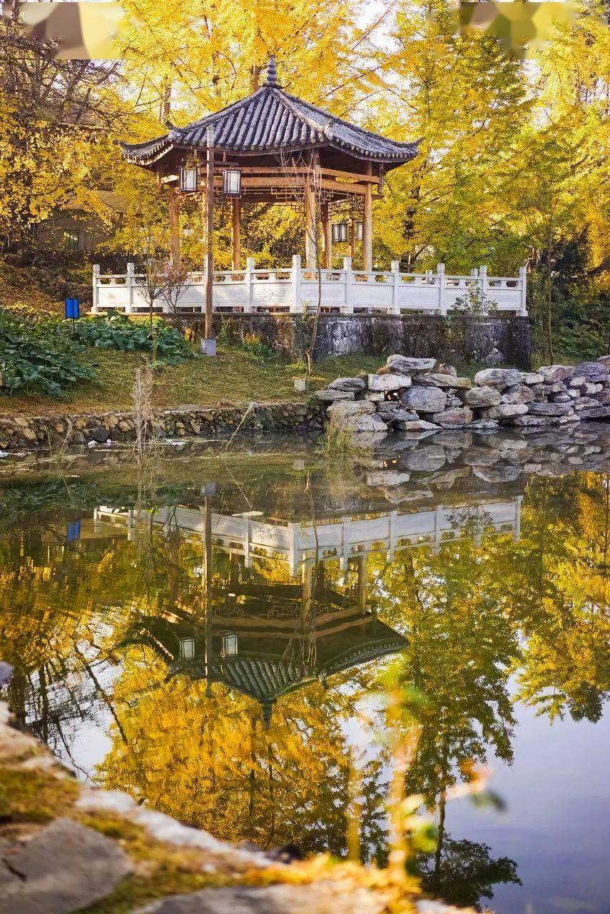 图片[52]-十二月最佳旅行地非它莫属，看银杏逛古城吃美食，现在去正好！ -华闻时空