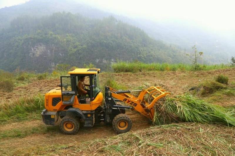 铜仁沿河：机械化收割助饲草产业发展(图2)
