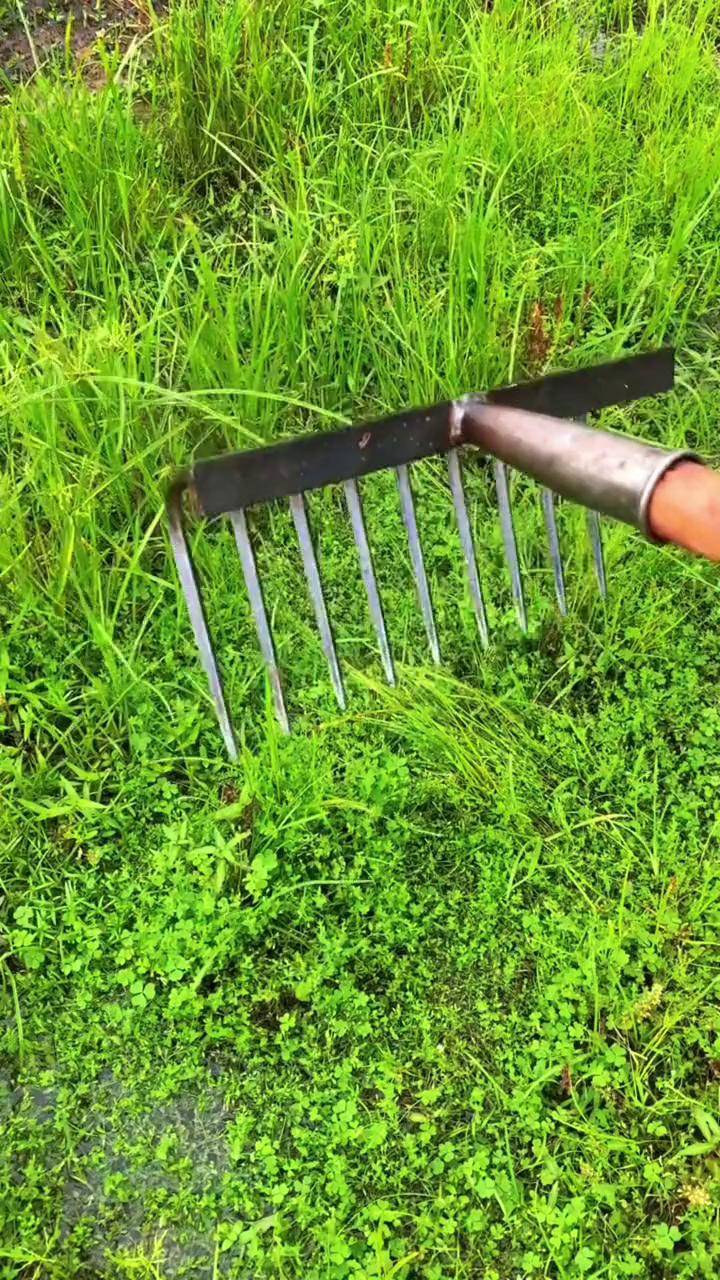 农用钉耙,翻地,松土,揉草,平土服务三农支持三农 抖音助力三农