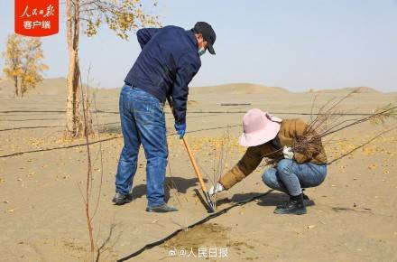 锁边“合龙”！塔克拉玛干沙漠被围起来了
