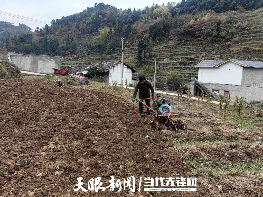赫章县辅处乡:秋冬播种正当时,孕育来年新希望