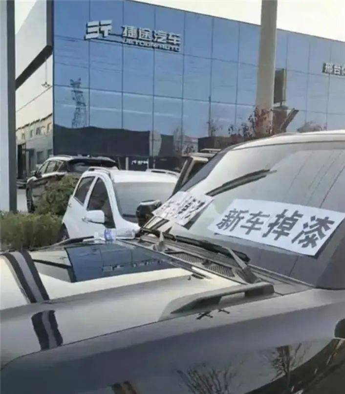 捷途旅行者新车被多人投诉爆漆 厂家称裂纹是鸟屎造成的(图3)