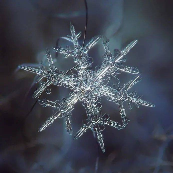 雪花放大一亿倍图片