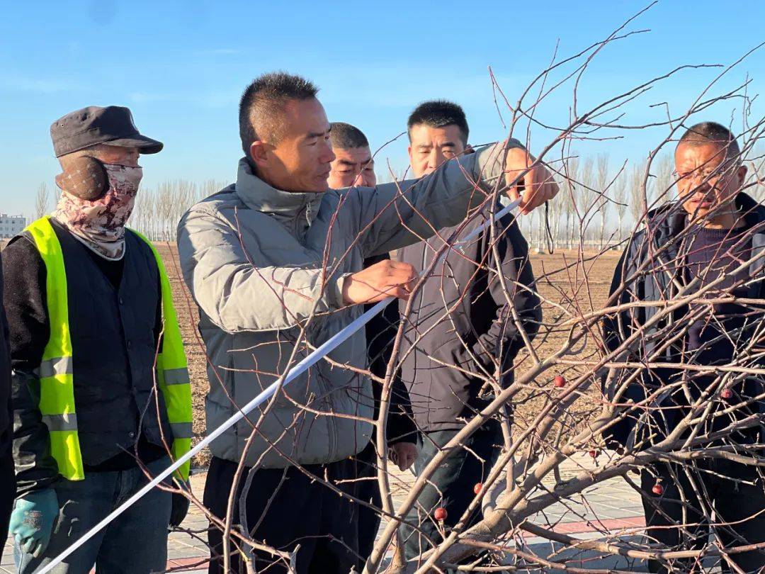 我市持续开展绿化提升项目 扮靓城区绿化欧博体育入口景观(图3)