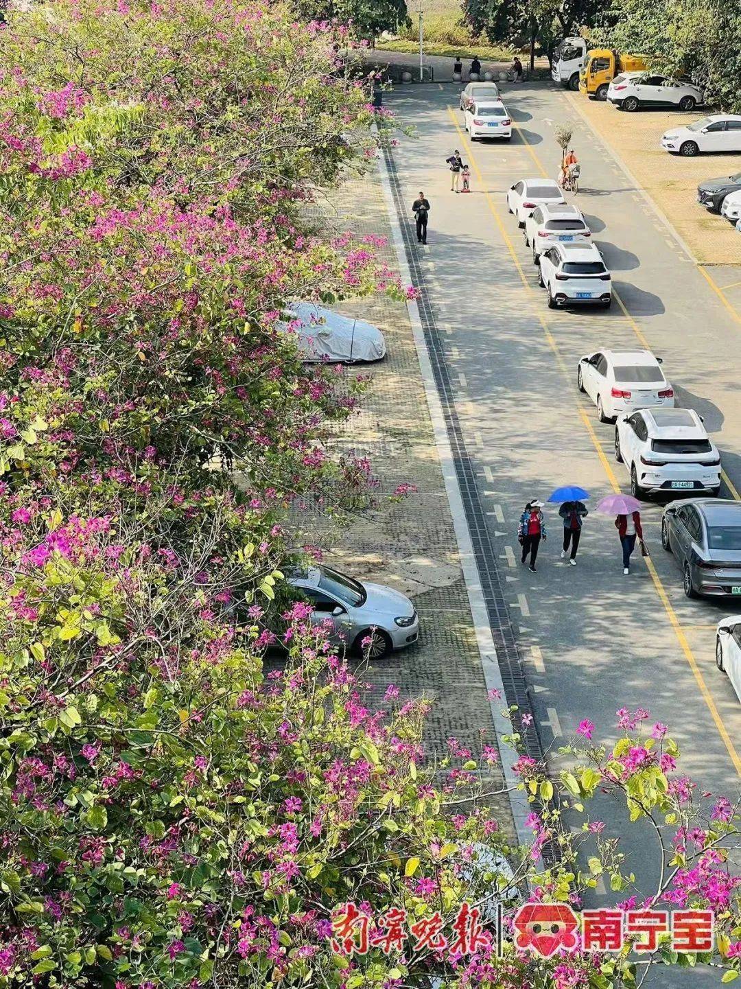 广西将开启“冻人”模式！最冷出现在这一天→