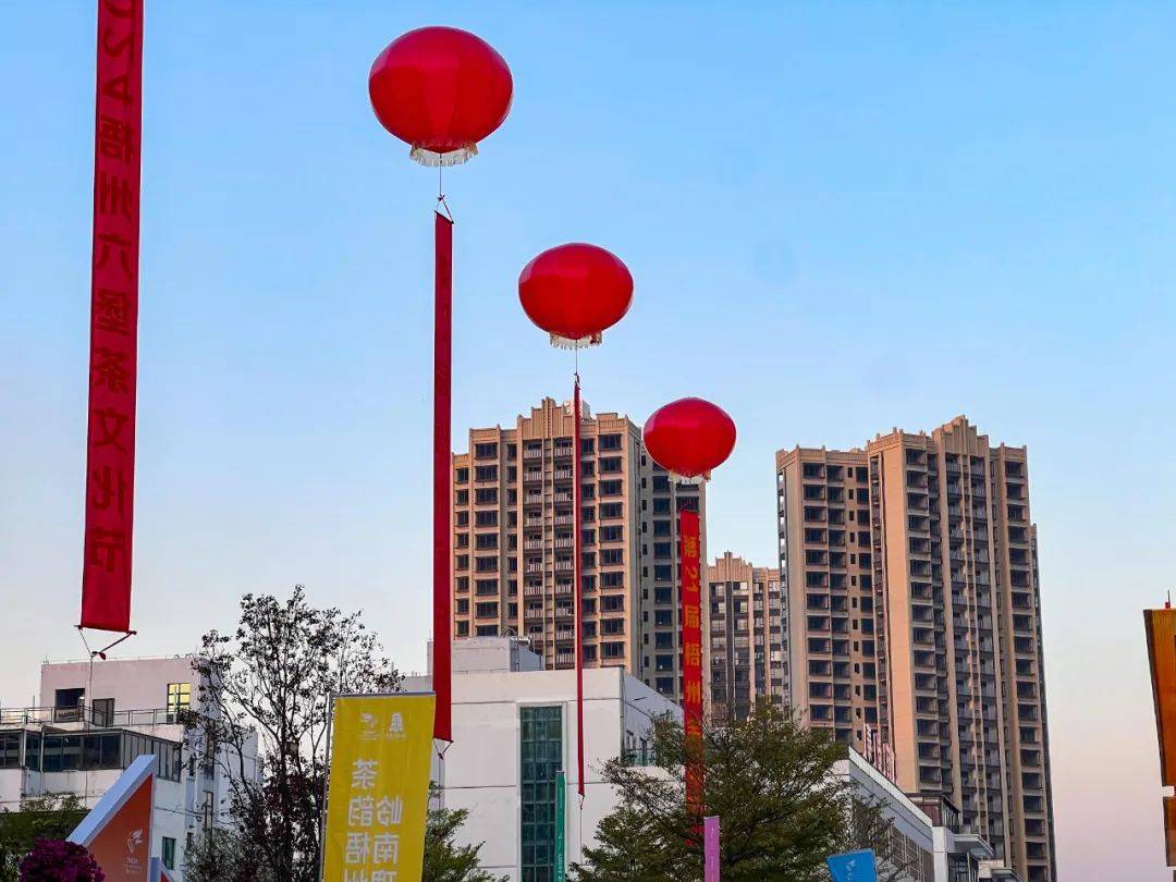 关于2024年梧州宝石节时间及地点的信息